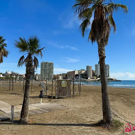 Mar De La Concha *